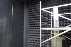 Fot. P. Jankowski-Mihułowicz