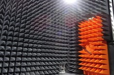 Fot. P. Jankowski-Mihułowicz