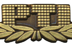 Brązowa Odznaka PTI 