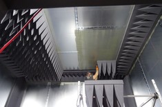 Fot. P. Jankowski-Mihułowicz