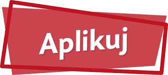 Staż studencki w Zakładzie Systemów Złożonych