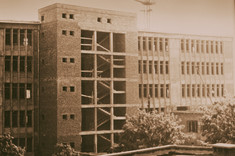 fot. M. Misiakiewicz